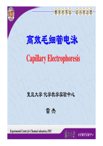 复旦仪器分析实验课件13高效毛细管电泳