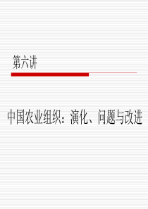 复旦用经济学智慧解读中国课件06中国农业组织：演化、问题与改进