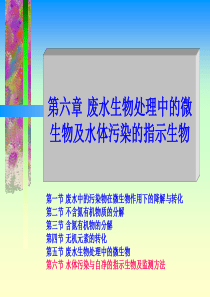 华北理工水处理生物学课件15废水生物处理中的微生物与水体污染的指示生物-3