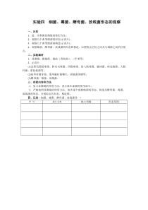 华北理工水处理生物学实验指导04细菌、霉菌、酵母菌、放线菌形态的观察