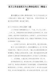 实习工作总结范文与心得体会范文（精选4篇）