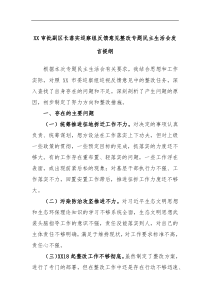 XX审批副区长落实巡察组反馈意见整改专题民主生活会发言提纲