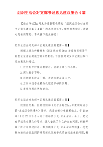 组织生活会对支部书记意见建议集合4篇