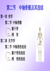 遵义医学院系统解剖学课件01运动系统-2躯干骨及连结