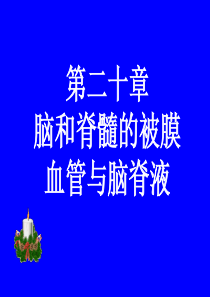 遵义医学院系统解剖学课件05神经系统-8脑和脊髓的被膜、血管与脑脊液