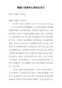 精编小班教师心得体会范文