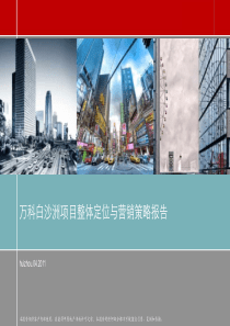 中原XXXX年04月武汉市万科白沙洲项目整体定位与营销策