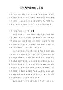 关于大学生的实习心得