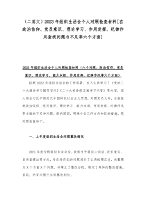 （二篇文）2023年组织生活会个人对照检查材料[在政治信仰、党员意识、理论学习、作用发挥、纪律作