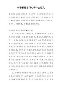 初中教师学习心得体会范文