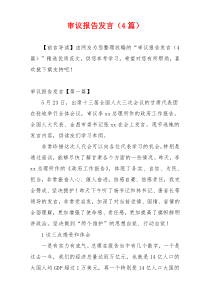 审议报告发言（4篇）