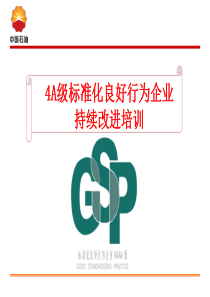 A级标准化良好行为企业持续改进培训张晓春04