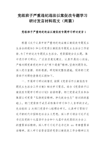 党组班子严重违纪违法以案促改专题学习研讨发言材料范文（两篇）