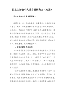 民主生活会个人发言提纲范文（两篇）