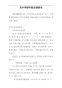 龙丰学校年检自查报告