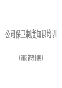 公司保卫制度知识培训