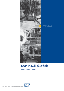 auto_exec_SAP_automotive