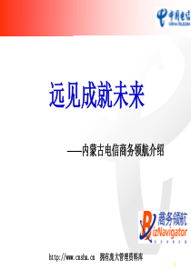 内蒙古电信公司商务领航规范培训讲稿