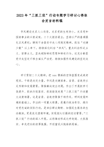 2023年“三抓三促”行动专题学习研讨心得体会发言材料1540字范文稿