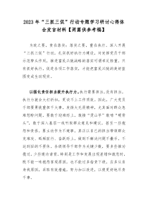 2023年“三抓三促”行动专题学习研讨心得体会发言材料【两篇供参考稿】