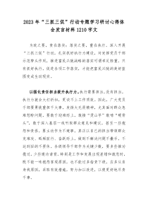 2023年“三抓三促”行动专题学习研讨心得体会发言材料1210字文