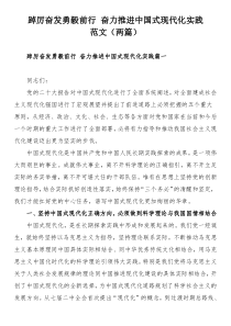 踔厉奋发勇毅前行 奋力推进中国式现代化实践范文（两篇）