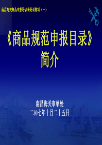 南昌海关规范申报培训班培训材料(一)-规范申报目录简介