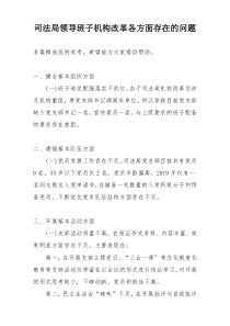 司法局领导班子机构改革各方面存在的问题