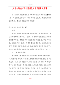 大学毕业实习报告范文【精编4篇】