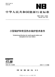 NBT 10941-2022 小型锅炉和常压热水锅炉技术条件 