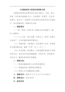 XX镇森林防火现场扑救演练方案