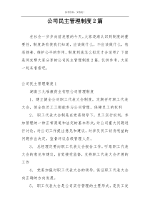 公司民主管理制度2篇