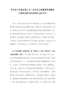 学习在十四届全国人大一次会议上的重要讲话精神心得体会研讨发言材料1500字文