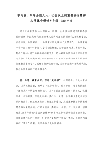 学习在十四届全国人大一次会议上的重要讲话精神心得体会研讨发言稿1030字文