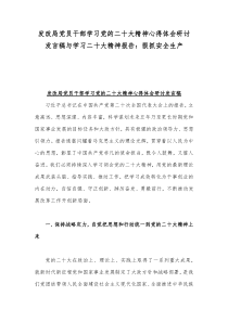 发改局党员干部学习党的二20十大精神心得体会研讨发言稿与学习二20十大精神报告：狠抓安全生产