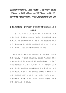 县委组织部副部长、县委“两新”工委书记学习贯彻党的二十20大精神心得体会与学习党的二十20大精神