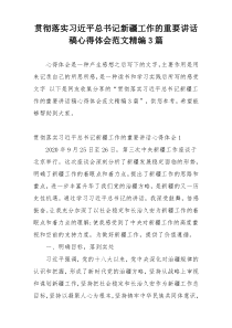 贯彻落实习近平总书记新疆工作的重要讲话稿心得体会范文精编3篇