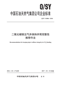 QSY 01006-2016 二氧化碳驱注气井保持井筒完整性推荐作法 