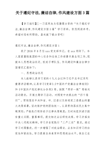 关于遵纪守法,廉洁自律,作风建设方面3篇