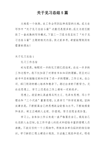 关于见习总结5篇