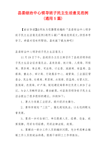 县委综治中心领导班子民主生活意见范例(通用5篇)