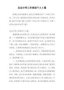 总会计师工作规划个人5篇