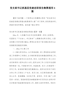 党支部书记抓基层党建述职报告集聚通用4篇