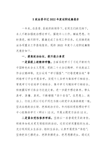 X政法委书记202X年度述职述廉报告