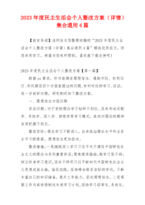 2023年度民主生活会个人整改方案（详情）集合通用4篇