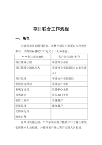 项目联合工作规程