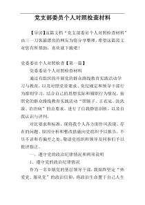 党支部委员个人对照检查材料