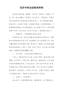 党员年终总结简单样例