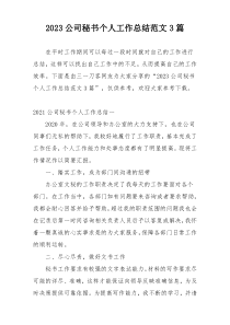 2023公司秘书个人工作总结范文3篇