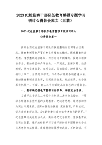 2023纪检监察干部队伍教育整顿专题学习研讨心得体会范文（五篇）